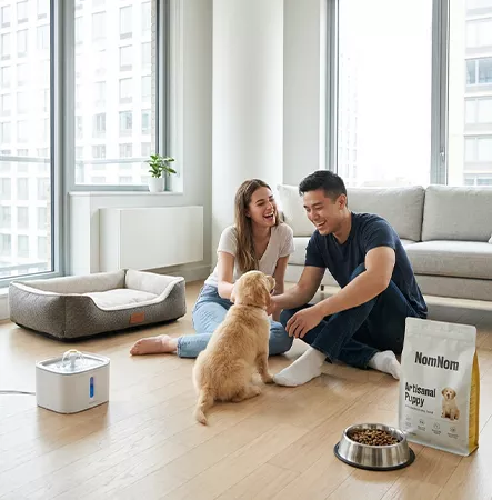 The Pet Economy and Lifestyle