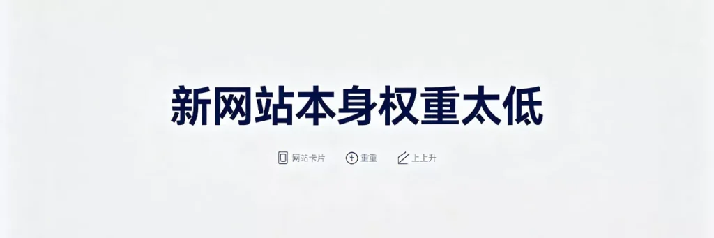 新网站权重太低导致Google收录慢，需通过高质量内容逐步积累信任